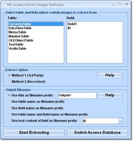 MS Access Extract Images Software screenshot